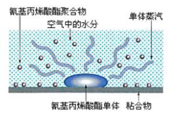 白化现象示意图